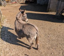 Wanderung &quot;Perspektivenwechsel&quot;